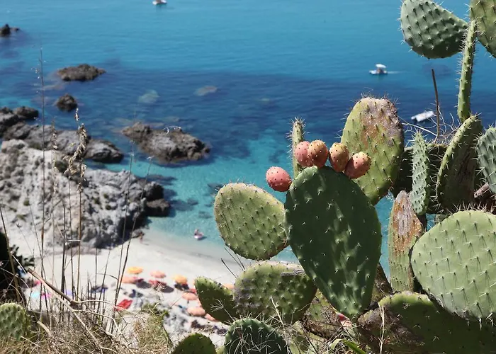 Semesteranläggning (resort) Blue Bay 4*